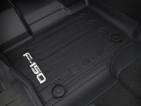 Ford F-150 Floor Mats - ML3Z1-613300-AA