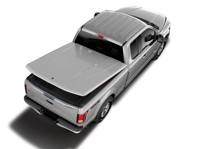 Ford Covers - Hard Painted One-Piece by UnderCover, Iconic Silver, For 6.5 Bed VFL3Z-99501A42-BB