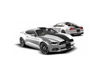 Ford Mustang Graphics, Stripes, and Trim Kits - VFR3Z-6320000-L