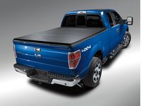 Ford F-150 Covers - V9L3Z-99501A42-BA