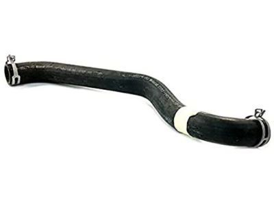2006 Ford Expedition Radiator Hose - 4L1Z-8260-AA