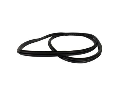 Ford FL3Z-1620709-A Weatherstrip Assembly - Door Opening
