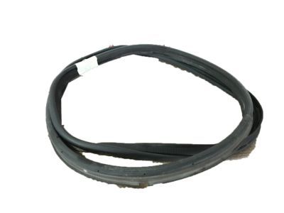 2016 Ford Fusion Weather Strip - DS7Z-5443720-A