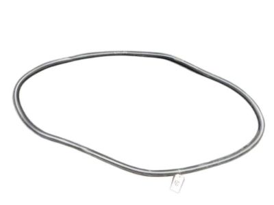 2015 Ford Edge Weather Strip - FT4Z-5820708-A