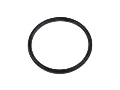 Ford F-150 Thermostat Gasket - F1VY-8255-A
