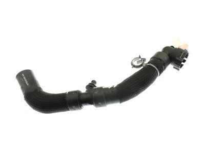 2018 Ford Fusion Radiator Hose - HP5Z-8286-A