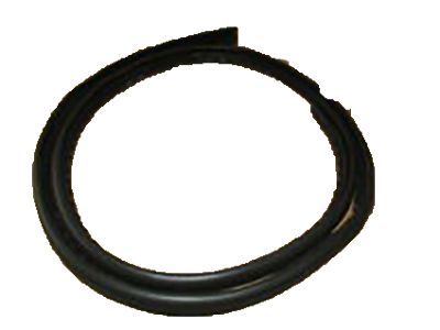Ford DS7Z-5420709-A Weatherstrip Assembly - Door Opening