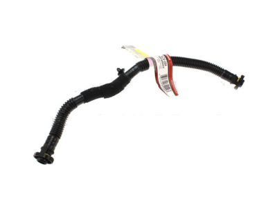 2019 Ford Transit Connect Crankcase Breather Hose - BM5Z-6A664-H