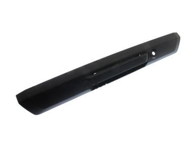 Ford F-550 Super Duty Tailgate Handle - HC3Z-9943400-BB