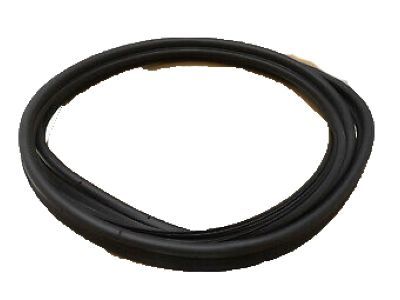 Ford Fusion Weather Strip - AE5Z-5443720-A