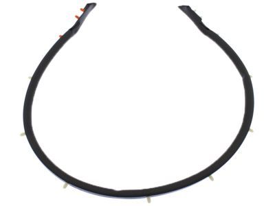 2016 Ford Mustang Weather Strip - FR3Z-16A238-C