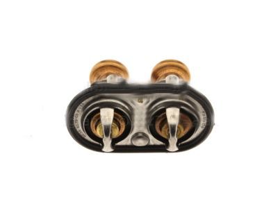 Ford F-250 Super Duty Thermostat - BC3Z-8575-D