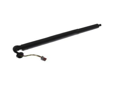 Ford Explorer Trunk Lid Lift Support - FB5Z-78406A10-B