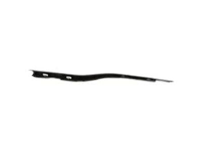 Ford FL3Z-1521452-D WEATHERSTRIP Assembly - DOOR WINDOW