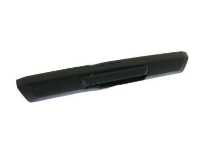 Ford F-550 Super Duty Tailgate Handle - HC3Z-9943400-NB