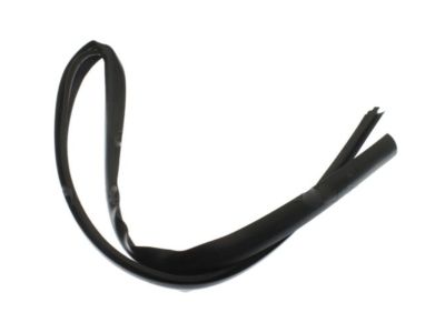 Ford Expedition Weather Strip - 4L1Z-1503110-AA