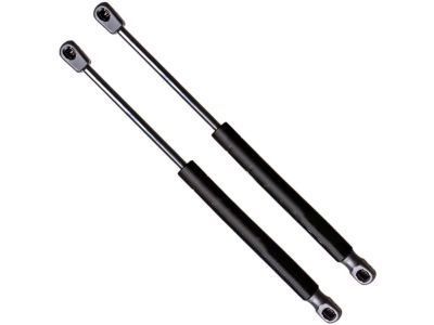 Ford Tailgate Lift Support - 6F9Z-74406A10-B