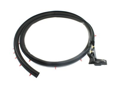 2011 Ford Mustang Weather Strip - BR3Z-6320531-A