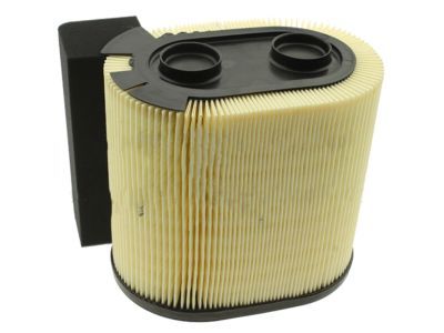 Ford FA-1927 Air Cleaner Element Assembly