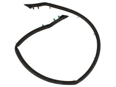 2016 Ford Mustang Weather Strip - FR3Z-16A238-B