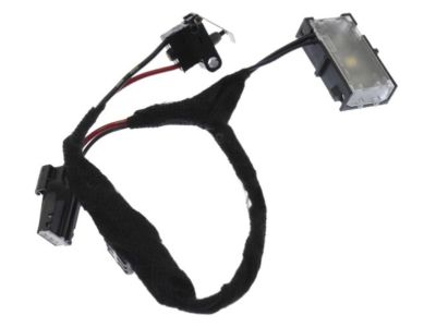 Ford HC3Z-14A318-D Wiring Assembly - Interior Lamp