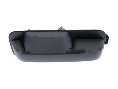 Ford FL3Z-1522404-CGPTM HANDLE ASY - DOOR - OUTER