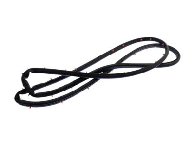 Ford DS7Z-5420531-A Weatherstrip
