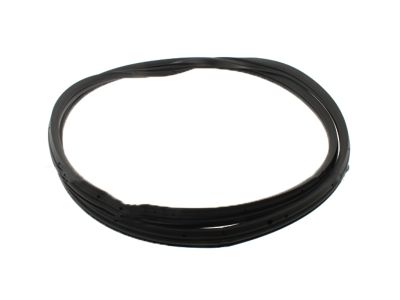 2012 Ford Expedition Weather Strip - 7L1Z-7842084-BD