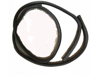 Ford F-150 Door Seal - BL3Z-16253A11-A