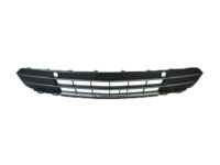 Ford DA5Z-17K945-BA Grille - Bumper