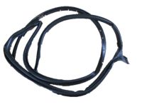 Ford 1L2Z-7825324-AA Weatherstrip