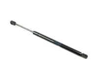 Ford 6W1Z-16C826-A Lift Assembly - Gas