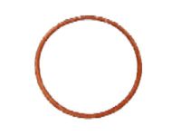 Ford FOTZ-6L621-A Gasket