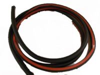 Ford BM5Z-5820708-D Weatherstrip Assembly - Door Opening