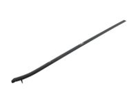 Ford AR3Z-6321452-A Weatherstrip Assembly - Door Window