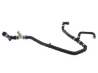 Ford F1FZ-8D030-A Hose Assembly