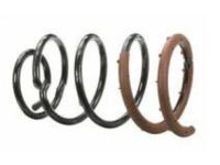 Ford Edge Coil Springs - BT4Z-5560-N Spring - Rear