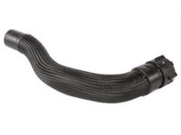 Ford AA5Z-8286-D Hose - Radiator