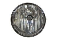 Ford BL3Z-15200-A Lamp Assembly - Fog