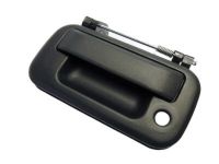 Ford F-150 Door Handle - 4L3Z-9943400-AAA Handle