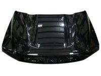 Ford HC3Z-16612-A Hood Assembly