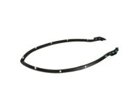 Ford FR3Z-16A238-A Weatherstrip