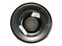 Ford F57Z-3F671-A Pulley