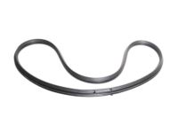 Ford XF2Z-1629904-AA Weatherstrip - Quarter Window