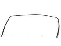 Ford YC3Z-2503144-AA Moulding - Windshield