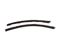 Ford 5S4Z-5425324-A Weatherstrip - Door - Lower