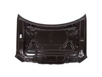 Ford 9L3Z-16612-A Hood Assembly