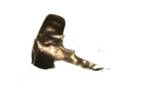 Ford YL8Z-78517A26-BAA Bolt - Hook