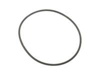 Ford F1VY-8507-A Gasket - Water Pump