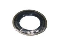 Ford F77Z-7A248-AA Seal Assembly - Oil